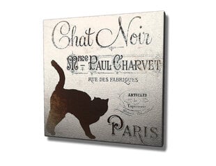 Taulu Chat Noir Paris hinta ja tiedot | Taulut | hobbyhall.fi
