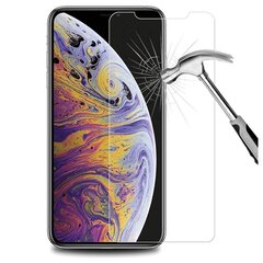 Suojalasi oranssi Apple iPhone 11 hinta ja tiedot | Näytönsuojakalvot ja -lasit | hobbyhall.fi