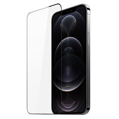 Suojalasi Dux Ducis Apple iPhone XR/11 musta hinta ja tiedot | Näytönsuojakalvot ja -lasit | hobbyhall.fi