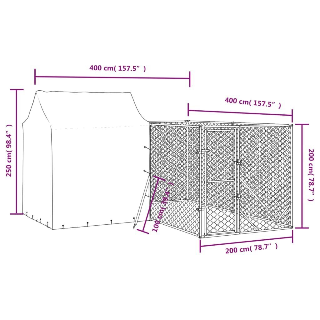 vidaXL Koiran ulkohäkki katolla hopea 6x6x2,5 m galvanoitu teräs hinta ja tiedot | Kuljetushäkit ja kuljetuslaatikot | hobbyhall.fi