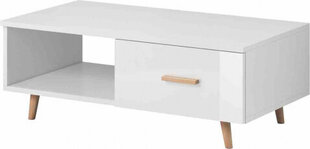 Hakano COFFETABLE/VIV/DELIA/WHITE/110X40 hinta ja tiedot | Sohvapöydät | hobbyhall.fi