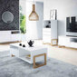 Hakano COFFETABLE/VIV/VERNUM/WHITE/119,2X41,3 hinta ja tiedot | Sohvapöydät | hobbyhall.fi