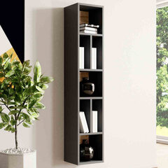 Hakano FURNITURE/BOOKCASE/HEL/BALLADE/ANTHR+OAKGR hinta ja tiedot | Hyllyt | hobbyhall.fi