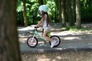 Cariboo Classic 12" tasapainopyörä, vaaleanpunainen, vihreä hinta ja tiedot | Potkupyörät | hobbyhall.fi