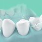 Logit HF-2 valkoinen hammashuuhtelulaite hinta ja tiedot | Hammasvälisuihkut | hobbyhall.fi