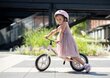 Cariboo Classic 12" tasapainopyörä, vaaleanpunainen, harmaa hinta ja tiedot | Potkupyörät | hobbyhall.fi