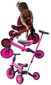 Milly Mally Pink optimus 4in1 20" tasapainopyörä. Pinkki hinta ja tiedot | Potkupyörät | hobbyhall.fi