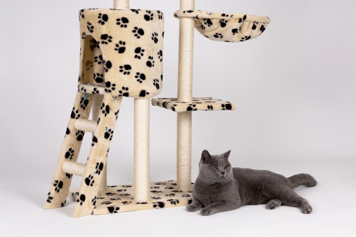Kissan raapimispiste, jossa on talo ja lelu, 138 cm. hinta ja tiedot | Raapimispuut ja kiipeilypuut | hobbyhall.fi