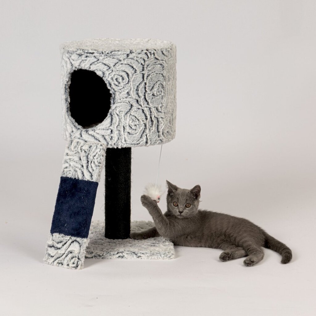 Kissan raapimispiste, jossa on ripustettava lelu, 120 cm. hinta ja tiedot | Raapimispuut ja kiipeilypuut | hobbyhall.fi