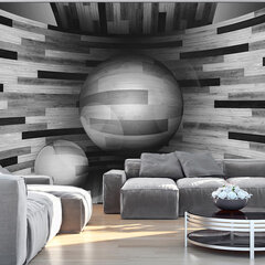 Valokuvatapetti - Gray sphere 300x210 cm hinta ja tiedot | Valokuvatapetit | hobbyhall.fi