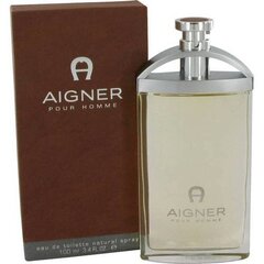 Aigner Parfums Aigner pour Homme EDT, 100ml hinta ja tiedot | Miesten hajuvedet | hobbyhall.fi