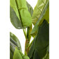 Koristekasvi Banana Tree hinta ja tiedot | Keinotekoiset kukat | hobbyhall.fi