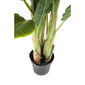 Koristekasvi Banana Tree hinta ja tiedot | Keinotekoiset kukat | hobbyhall.fi