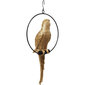 Koriste-esine Swinging Parrot kultainen hinta ja tiedot | Sisustustuotteet | hobbyhall.fi