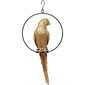 Koriste-esine Swinging Parrot kultainen hinta ja tiedot | Sisustustuotteet | hobbyhall.fi