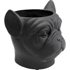 Ruukku Bulldog, Musta hinta ja tiedot | Maljakot | hobbyhall.fi