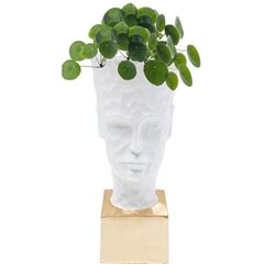 Plant Pot Jeffrey 80cm hinta ja tiedot | Kukkaruukut | hobbyhall.fi