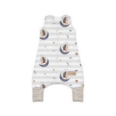 Vauvojen makuupussi, jossa on jalkatilaa Albero Mio, CP3 Moon hedgehog, S hinta ja tiedot | Vauvan tyynyt ja peitot | hobbyhall.fi