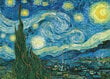 Palapeli Eurographics, 6000-1204, The Starry Night, 1000 kpl hinta ja tiedot | Palapelit | hobbyhall.fi