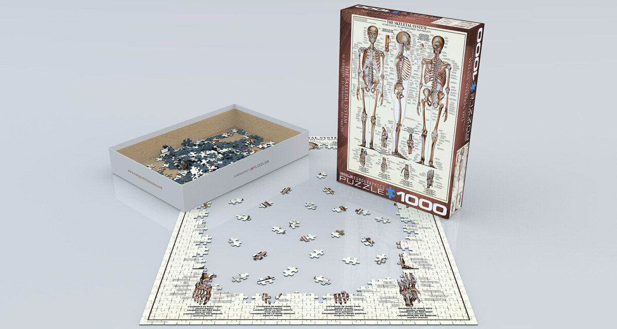 Palapeli Eurographics, 6000-3970, The Skeletal System, 1000 kpl hinta ja tiedot | Palapelit | hobbyhall.fi