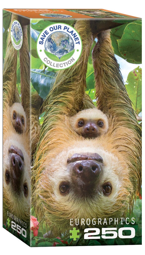 Palapeli Eurographics, 8251-5556, Sloths, 250 kpl hinta ja tiedot | Palapelit | hobbyhall.fi