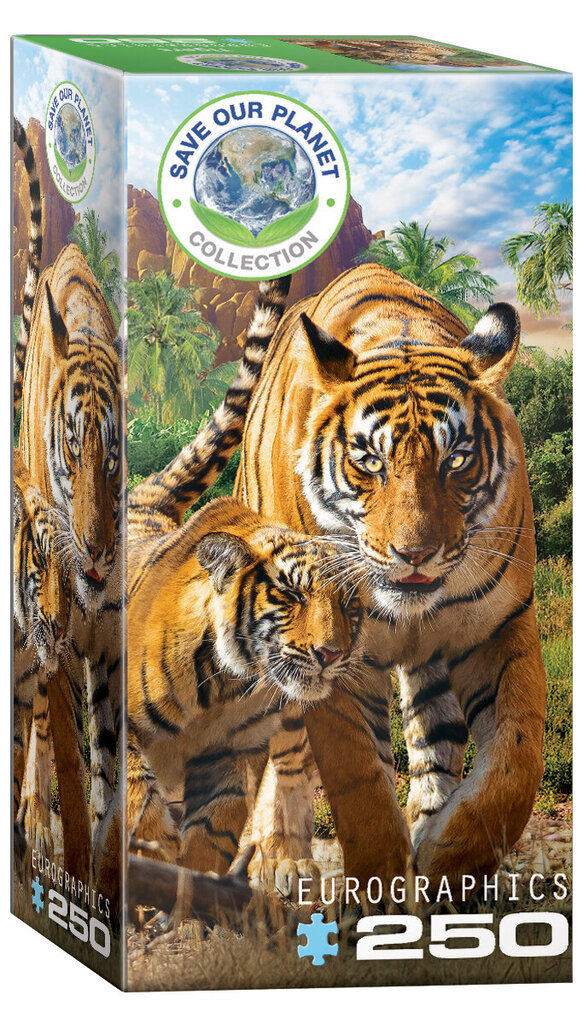 Palapeli Eurographics, 8251-5559, Tigers, 250 kpl hinta ja tiedot | Palapelit | hobbyhall.fi