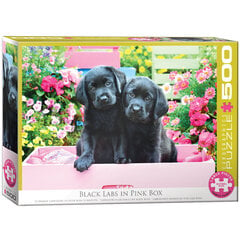 Palapeli Eurographics, 6500-5462, Black Labs in Pink Box, 500 kpl hinta ja tiedot | Palapelit | hobbyhall.fi