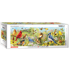 Palapeli Eurographics, 6010-5338, Garden Birds, 1000 kpl hinta ja tiedot | Palapelit | hobbyhall.fi