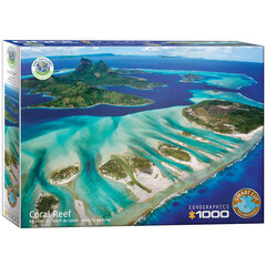Palapeli Eurographics, 6000-5538, Coral Reef, 1000 kpl hinta ja tiedot | Palapelit | hobbyhall.fi
