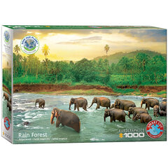 Palapeli Eurographics, 6000-5540, Rainforest, 1000 kpl hinta ja tiedot | Palapelit | hobbyhall.fi