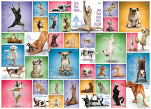 Palapeli Eurographics, 6000-0954, Yoga Dogs, 1000 kpl hinta ja tiedot | Palapelit | hobbyhall.fi