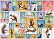 Palapeli Eurographics, 6000-0953, Yoga Cats, 1000 kpl hinta ja tiedot | Palapelit | hobbyhall.fi