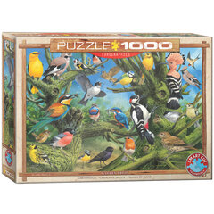 Palapeli Eurographics, 6000-0967, Garden Birds, 1000 kpl hinta ja tiedot | Palapelit | hobbyhall.fi