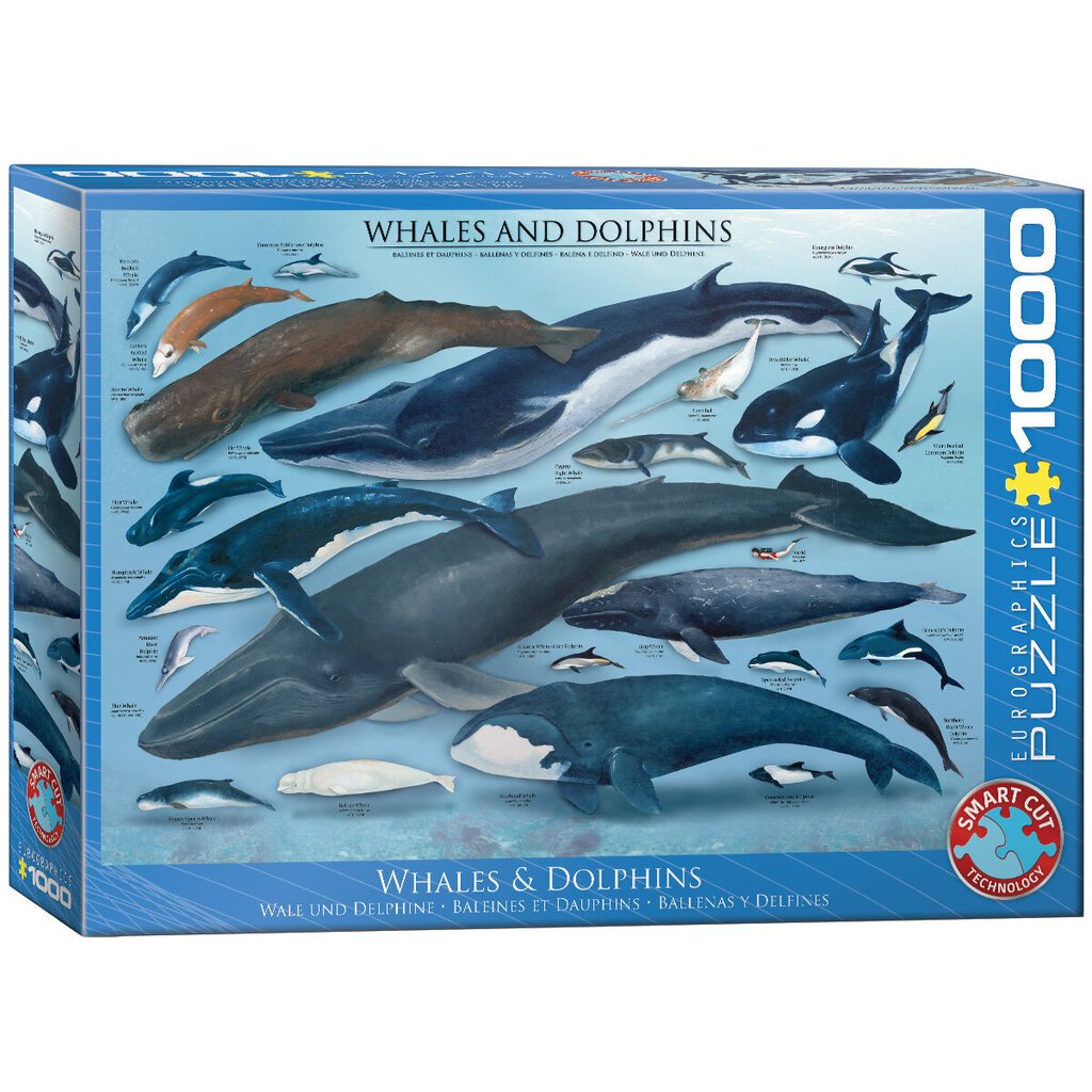 Palapeli Eurographics, 6000-0082, Whales and Dolphins, 1000 kpl hinta ja tiedot | Palapelit | hobbyhall.fi