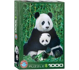 Palapeli Eurographics, 6000-0173, Panda and Baby, 1000 kpl hinta ja tiedot | Palapelit | hobbyhall.fi