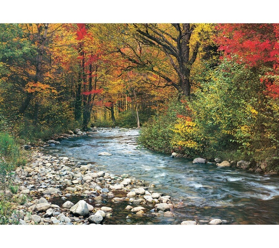 Palapeli Eurographics, 6000-2132, Forest Stream, 1000 kpl hinta ja tiedot | Palapelit | hobbyhall.fi