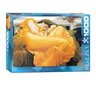 Palapeli Eurographics, 6000-3214, Flaming June by Frederic Lord Leighton, 1000 kpl hinta ja tiedot | Palapelit | hobbyhall.fi