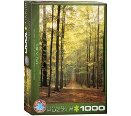 Palapeli Eurographics, 6000-3846, Forest Path, 1000 kpl hinta ja tiedot | Palapelit | hobbyhall.fi