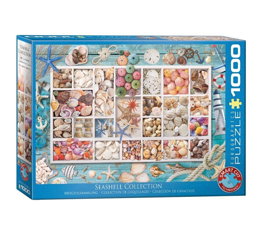 Palapeli Eurographics, 6000-5529, Seashell Collection, 1000 kpl hinta ja tiedot | Palapelit | hobbyhall.fi