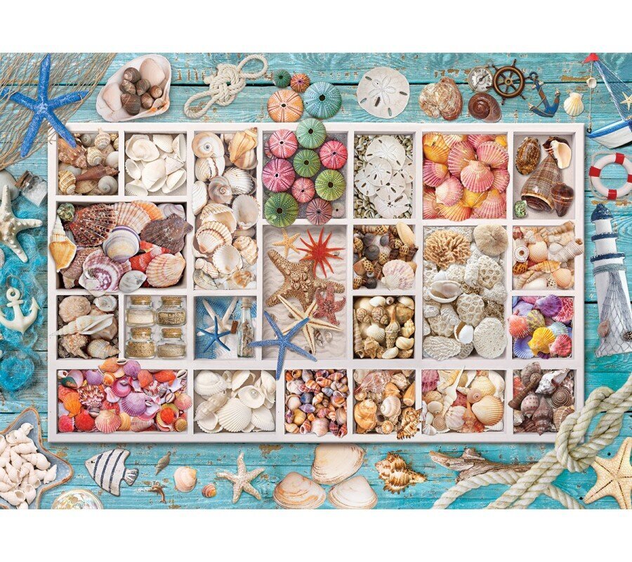 Palapeli Eurographics, 6000-5529, Seashell Collection, 1000 kpl hinta ja tiedot | Palapelit | hobbyhall.fi