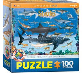 Palapeli Eurographics, 6100-0079, Sharks, 100 kpl hinta ja tiedot | Palapelit | hobbyhall.fi