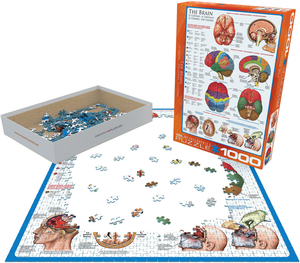 Palapeli Eurographics, 6000-0256, The Brain, 1000 kpl hinta ja tiedot | Palapelit | hobbyhall.fi