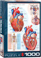 Palapeli Eurographics, 6000-0257, The Heart, 1000 kpl hinta ja tiedot | Palapelit | hobbyhall.fi