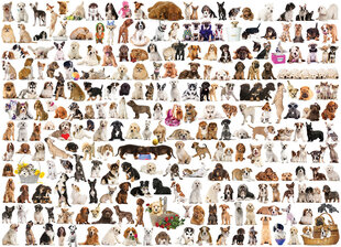 Palapeli Eurographics, 6000-0581, The World of Dogs, 1000 kpl hinta ja tiedot | Palapelit | hobbyhall.fi