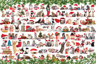 Palapeli Eurographics, 8051-0940, Holiday Cats, Tin, 1000 kpl hinta ja tiedot | Palapelit | hobbyhall.fi