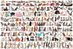 Palapeli Eurographics, 8220-0580, The World of Cats, 2000 kpl hinta ja tiedot | Palapelit | hobbyhall.fi