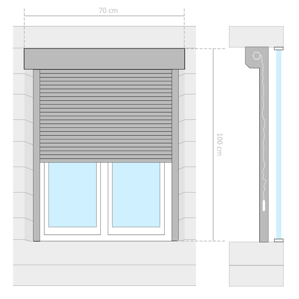 vidaXL Rullakaihdin alumiini 70x100 cm antrasiitti hinta ja tiedot | Kaihtimet | hobbyhall.fi