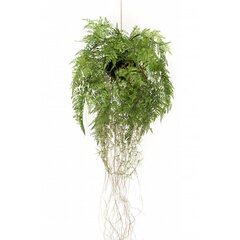 Emerald Tekokasvi riippuva saniainen juurilla 35 cm hinta ja tiedot | Keinotekoiset kukat | hobbyhall.fi