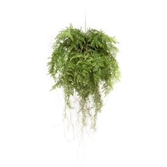 Emerald Tekokasvi riippuva saniainen juurilla 55 cm hinta ja tiedot | Keinotekoiset kukat | hobbyhall.fi