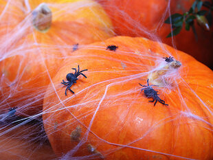 Halloween koriste hämähäkkejä, 10 kpl hinta ja tiedot | Juhlakoristeet | hobbyhall.fi